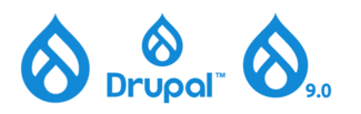 Drupal 9 Icon